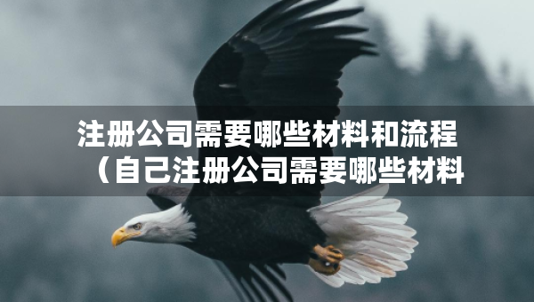 注冊(cè)公司需要哪些材料和流程（自己注冊(cè)公司需要哪些材料和流程）