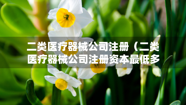 二類醫(yī)療器械公司注冊（二類醫(yī)療器械公司注冊資本最低多少）