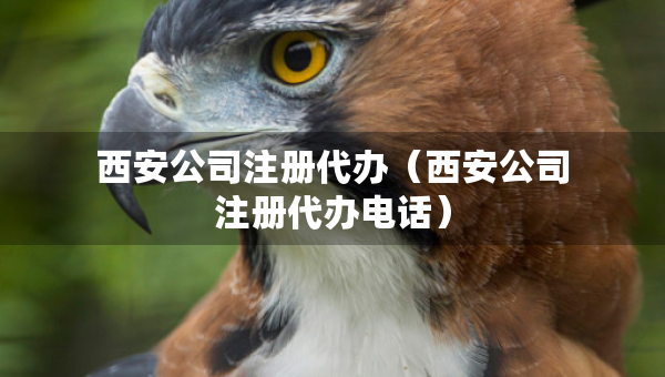西安公司注冊代辦（西安公司注冊代辦電話）