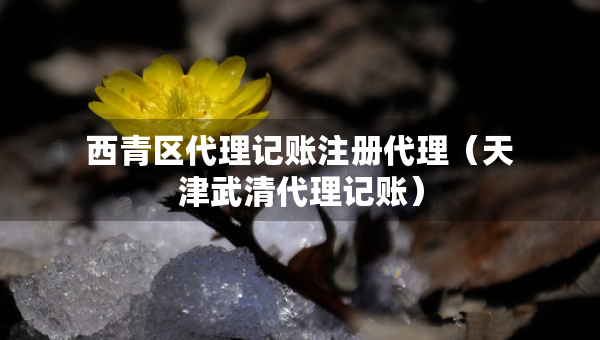 西青區(qū)代理記賬注冊代理（天津武清代理記賬）
