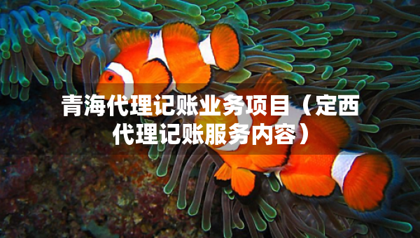 青海代理記賬業(yè)務項目（定西代理記賬服務內容）