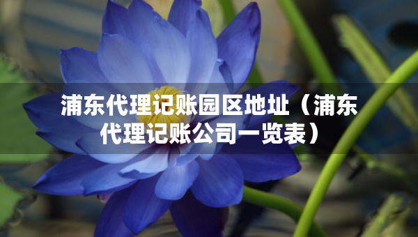 浦東代理記賬園區(qū)地址（浦東代理記賬公司一覽表）