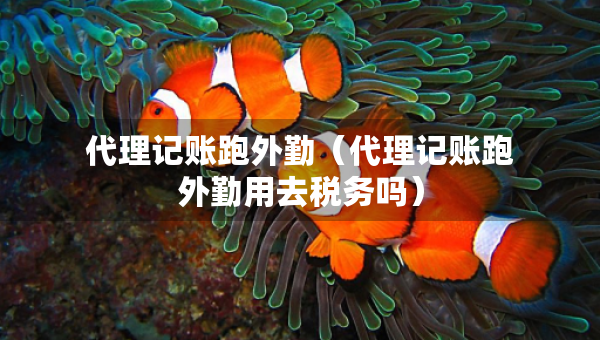 代理記賬跑外勤（代理記賬跑外勤用去稅務(wù)嗎）