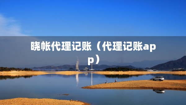 曉帳代理記賬（代理記賬app）