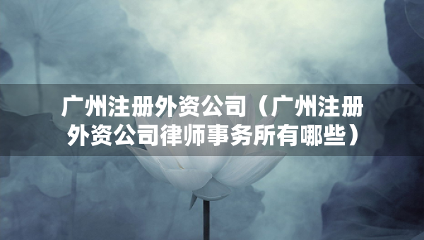 廣州注冊(cè)外資公司（廣州注冊(cè)外資公司律師事務(wù)所有哪些）