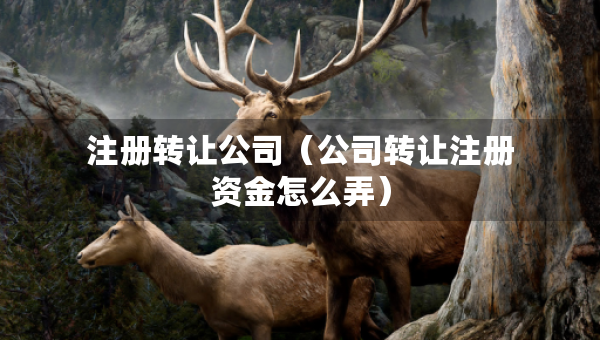 注冊轉(zhuǎn)讓公司（公司轉(zhuǎn)讓注冊資金怎么弄）