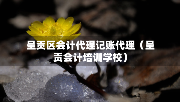 呈貢區(qū)會計代理記賬代理（呈貢會計培訓學校）