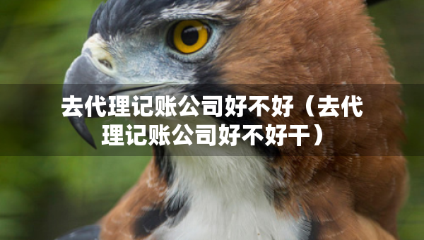 去代理記賬公司好不好（去代理記賬公司好不好干）