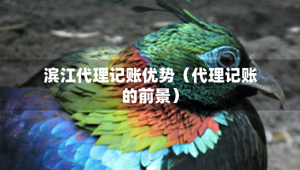 濱江代理記賬優(yōu)勢（代理記賬的前景）
