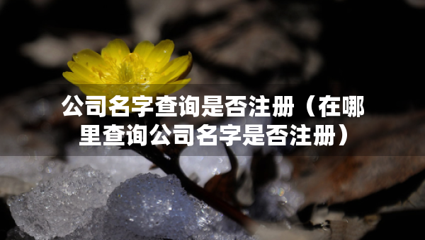 公司名字查詢是否注冊（在哪里查詢公司名字是否注冊）