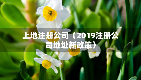 上地注冊(cè)公司（2019注冊(cè)公司地址新政策）