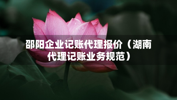 邵陽企業(yè)記賬代理報價（湖南代理記賬業(yè)務(wù)規(guī)范）