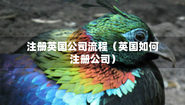 注冊(cè)英國公司流程（英國如何注冊(cè)公司）