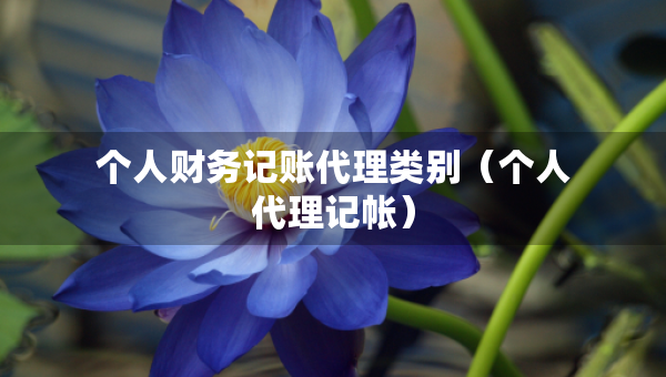 個人財務(wù)記賬代理類別（個人代理記帳）