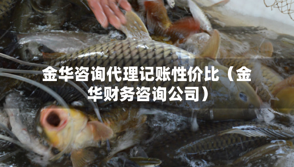 金華咨詢代理記賬性價(jià)比（金華財(cái)務(wù)咨詢公司）