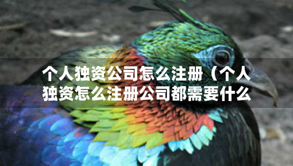 個(gè)人獨(dú)資公司怎么注冊(cè)（個(gè)人獨(dú)資怎么注冊(cè)公司都需要什么手續(xù)）