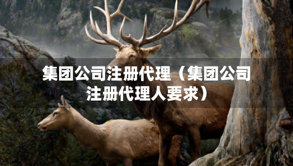 集團(tuán)公司注冊(cè)代理（集團(tuán)公司注冊(cè)代理人要求）