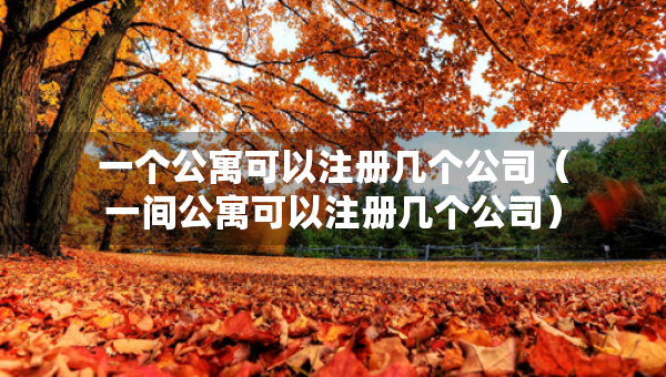 一個公寓可以注冊幾個公司（一間公寓可以注冊幾個公司）