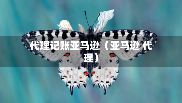 代理記賬亞馬遜（亞馬遜 代理）
