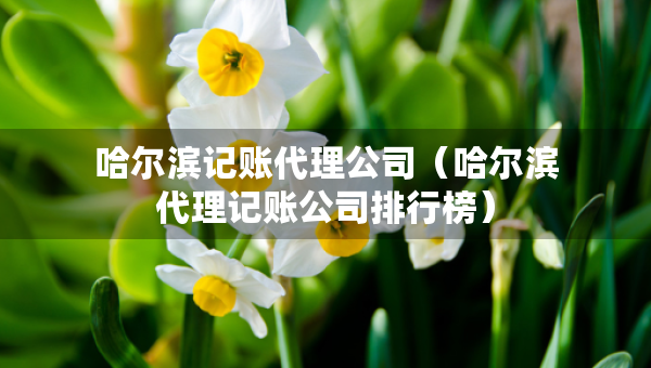 哈爾濱記賬代理公司（哈爾濱代理記賬公司排行榜）