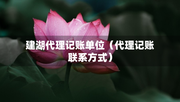 建湖代理記賬單位（代理記賬聯(lián)系方式）