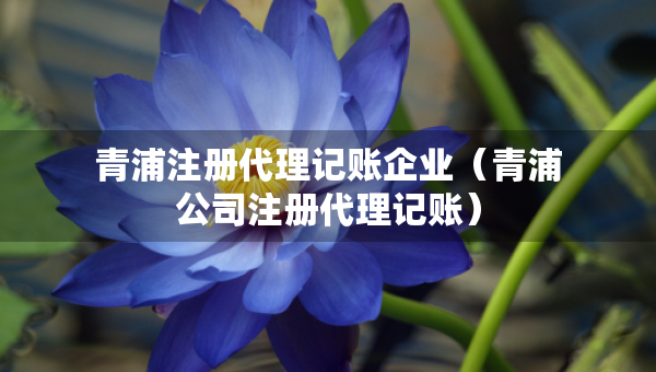 青浦注冊(cè)代理記賬企業(yè)（青浦公司注冊(cè)代理記賬）