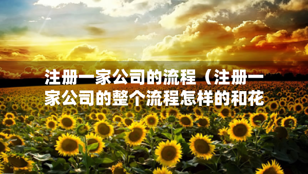 注冊一家公司的流程（注冊一家公司的整個流程怎樣的和花費的時間）