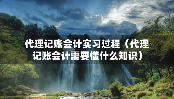 代理記賬會計實習過程（代理記賬會計需要懂什么知識）