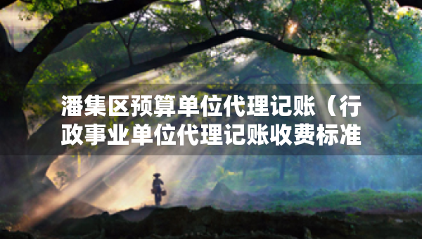 潘集區(qū)預(yù)算單位代理記賬（行政事業(yè)單位代理記賬收費(fèi)標(biāo)準(zhǔn)文件）