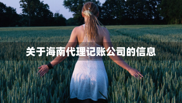 關(guān)于海南代理記賬公司的信息