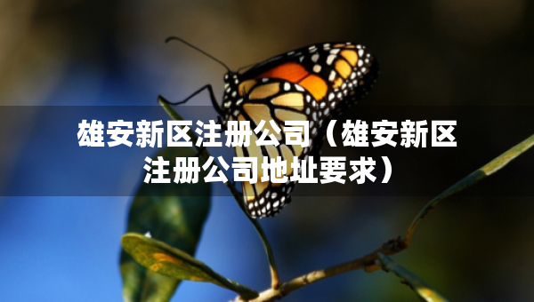 雄安新區(qū)注冊公司（雄安新區(qū)注冊公司地址要求）