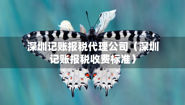 深圳記賬報(bào)稅代理公司（深圳記賬報(bào)稅收費(fèi)標(biāo)準(zhǔn)）