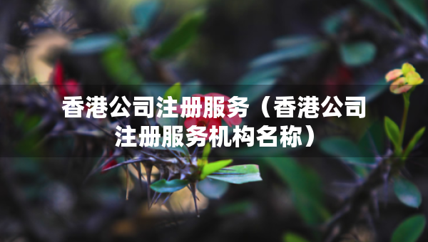 香港公司注冊服務(wù)（香港公司注冊服務(wù)機構(gòu)名稱）