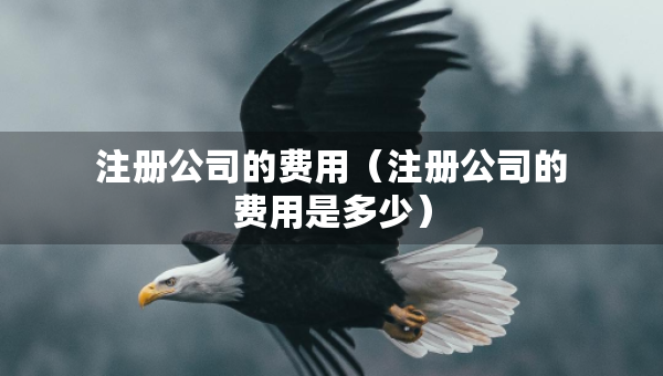 注冊(cè)公司的費(fèi)用（注冊(cè)公司的費(fèi)用是多少）