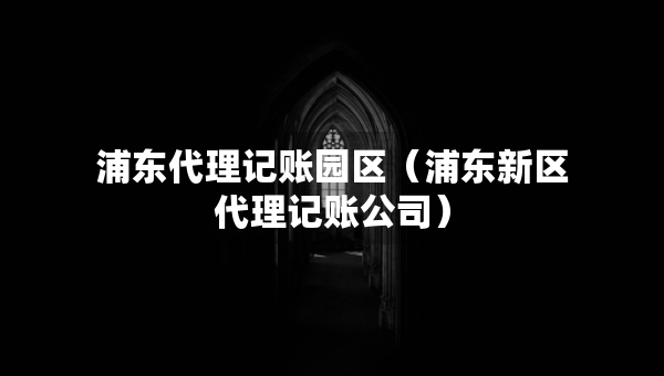 浦東代理記賬園區(qū)（浦東新區(qū)代理記賬公司）