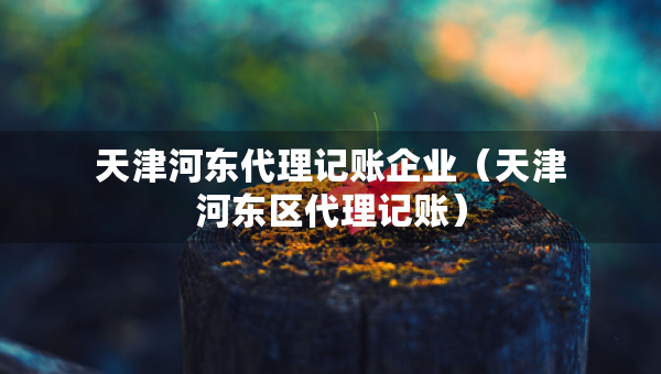 天津河?xùn)|代理記賬企業(yè)（天津河?xùn)|區(qū)代理記賬）