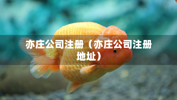 亦莊公司注冊（亦莊公司注冊地址）