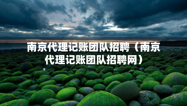 南京代理記賬團(tuán)隊(duì)招聘（南京代理記賬團(tuán)隊(duì)招聘網(wǎng)）