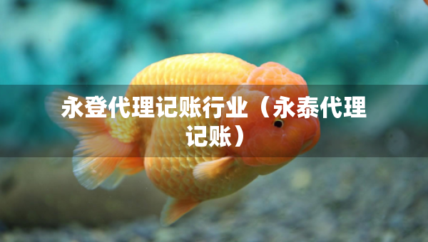 永登代理記賬行業(yè)（永泰代理記賬）