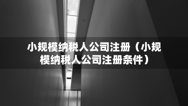 小規(guī)模納稅人公司注冊（小規(guī)模納稅人公司注冊條件）