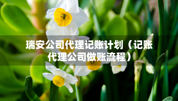 瑞安公司代理記賬計劃（記賬代理公司做賬流程）