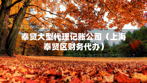奉賢大型代理記賬公司（上海奉賢區(qū)財務代辦）