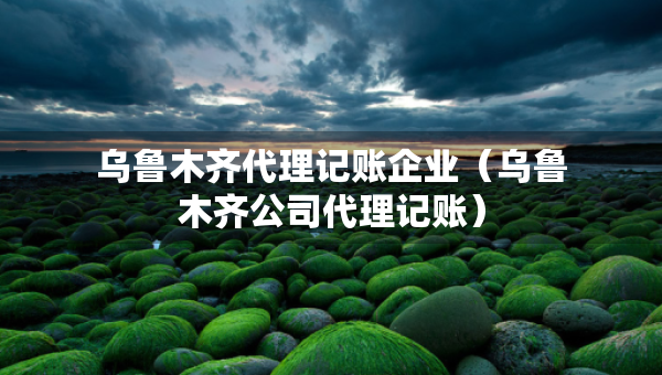 烏魯木齊代理記賬企業(yè)（烏魯木齊公司代理記賬）