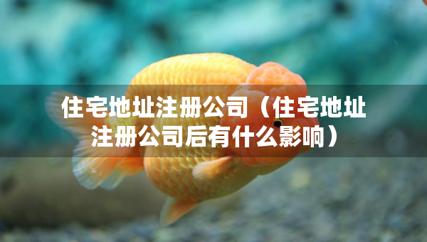 住宅地址注冊公司（住宅地址注冊公司后有什么影響）