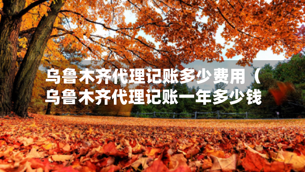 烏魯木齊代理記賬多少費(fèi)用（烏魯木齊代理記賬一年多少錢(qián)）