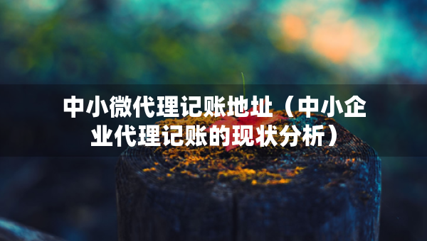 中小微代理記賬地址（中小企業(yè)代理記賬的現(xiàn)狀分析）