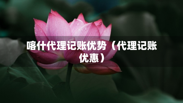 喀什代理記賬優(yōu)勢（代理記賬優(yōu)惠）