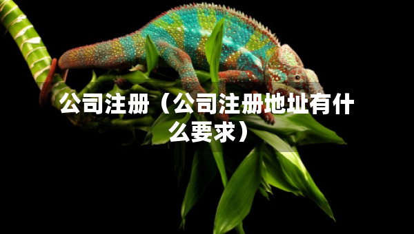公司注冊(cè)（公司注冊(cè)地址有什么要求）