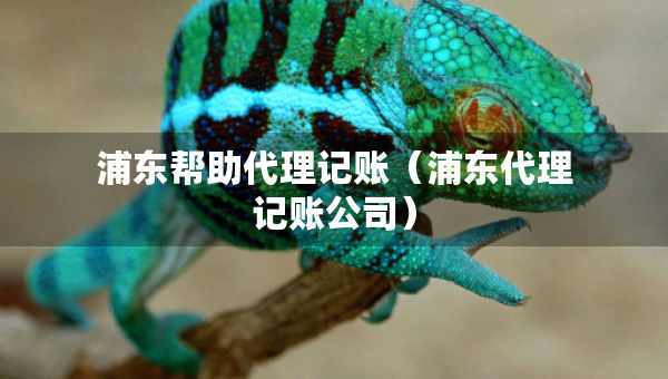 浦東幫助代理記賬（浦東代理記賬公司）