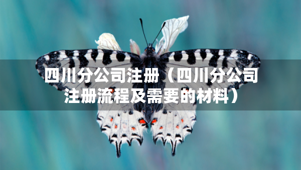 四川分公司注冊（四川分公司注冊流程及需要的材料）